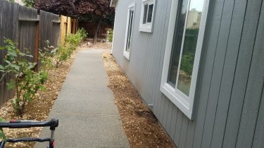 Side Path - Original Yard