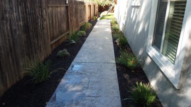 Side Path - New Landscape Completed